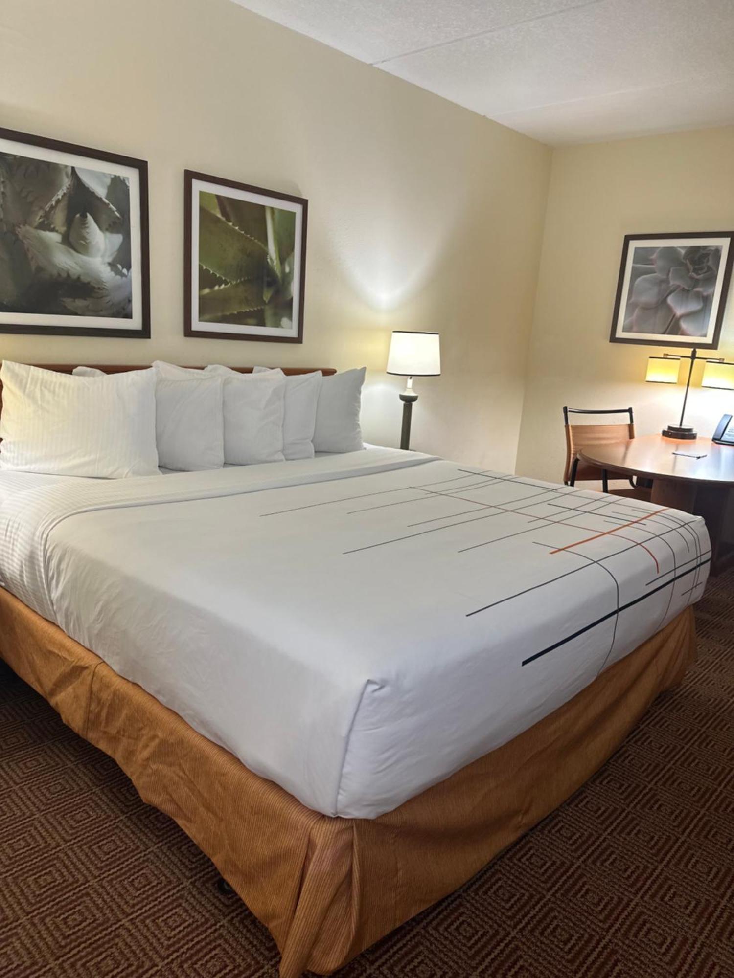 La Quinta Inn & Suites By Wyndham Sawgrass Sunrise Buitenkant foto